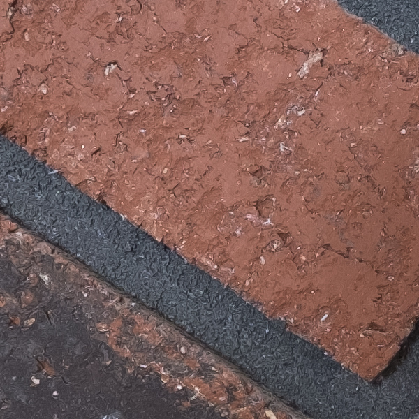 Fujinon XF 8-16mm f/2.8 R LM WR Review: Field Test -- Gallery Image