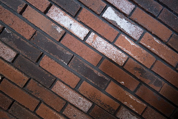 Fujinon XF 8-16mm f/2.8 R LM WR Review: Field Test -- Gallery Image