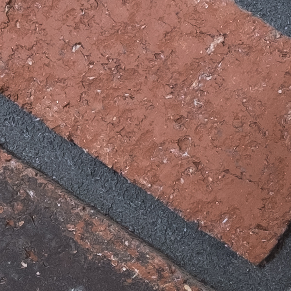 Fujinon XF 8-16mm f/2.8 R LM WR Review: Field Test -- Gallery Image