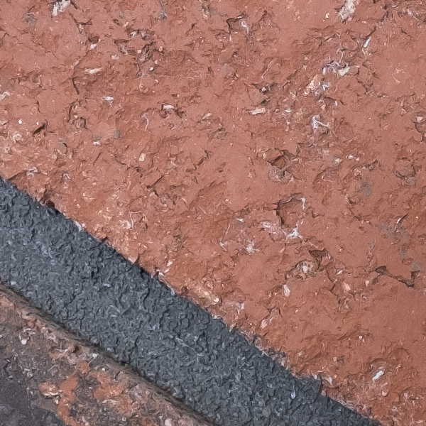 Fujinon XF 8-16mm f/2.8 R LM WR Review: Field Test -- Gallery Image