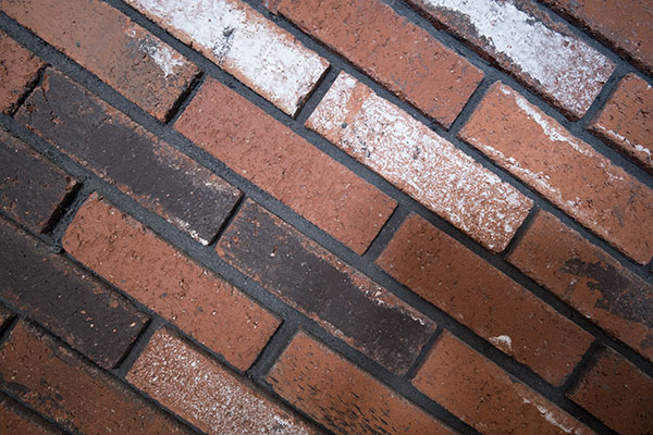 Fujinon XF 8-16mm f/2.8 R LM WR Review: Field Test -- Gallery Image