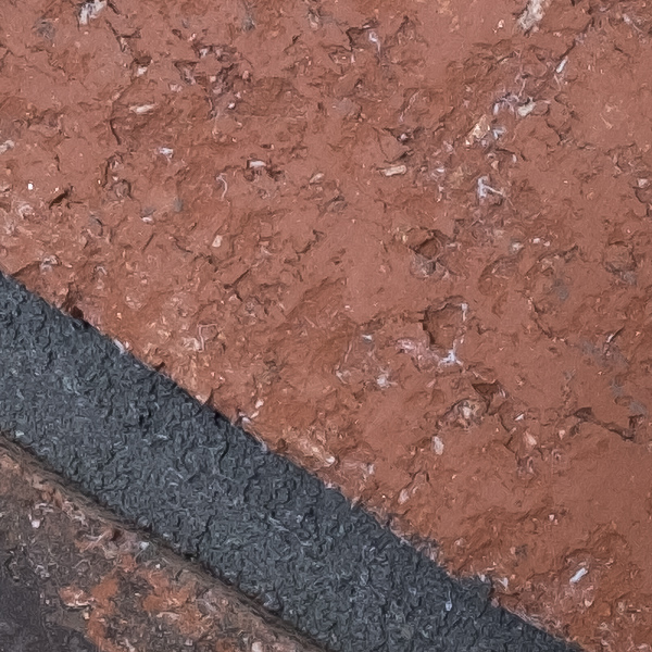 Fujinon XF 8-16mm f/2.8 R LM WR Review: Field Test -- Gallery Image