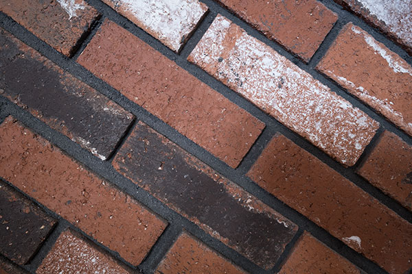 Fujinon XF 8-16mm f/2.8 R LM WR Review: Field Test -- Gallery Image