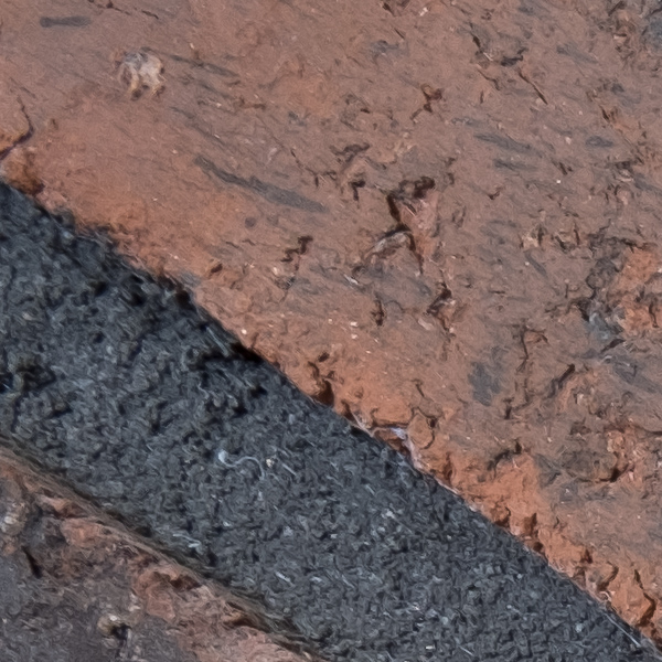 Fujinon XF 8-16mm f/2.8 R LM WR Review: Field Test -- Gallery Image