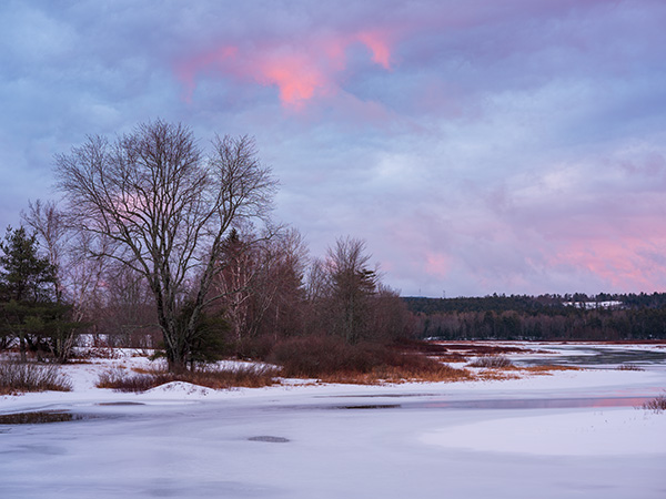 Fujinon GF 80mm f/1.7 R WR Review: Field Test -- Gallery Image