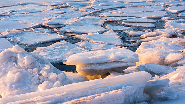 Fujinon GF 80mm f/1.7 R WR Review: Field Test -- Gallery Image