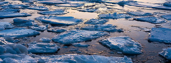 Fujinon GF 80mm f/1.7 R WR Review: Field Test -- Gallery Image