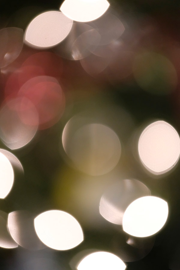 Fujinon XF 80mm f/2.8 R LM OIS WR Review: Field Test -- Gallery Image