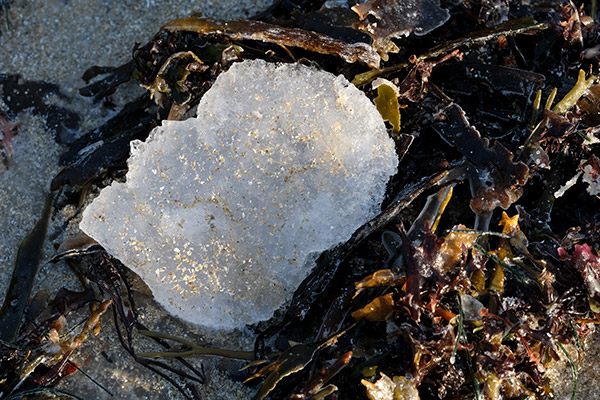 Fujinon XF 80mm f/2.8 R LM OIS WR Review: Field Test -- Gallery Image