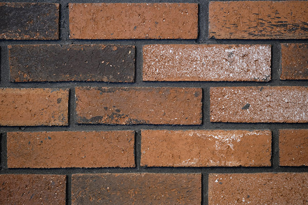 Fujinon XF 80mm f/2.8 R LM OIS WR Review: Field Test -- Sharpness Test Image