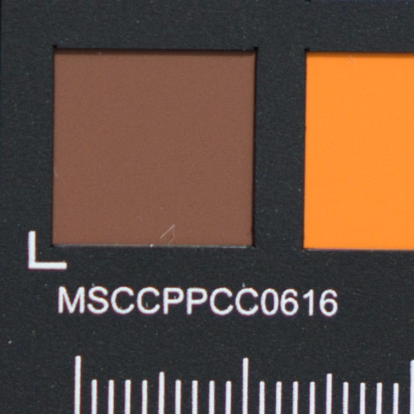 Laowa 105mm f/2 STF Review: Hands-on -- Gallery Image