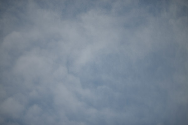 Laowa 105mm f/2 STF Review: Hands-on -- Gallery Image