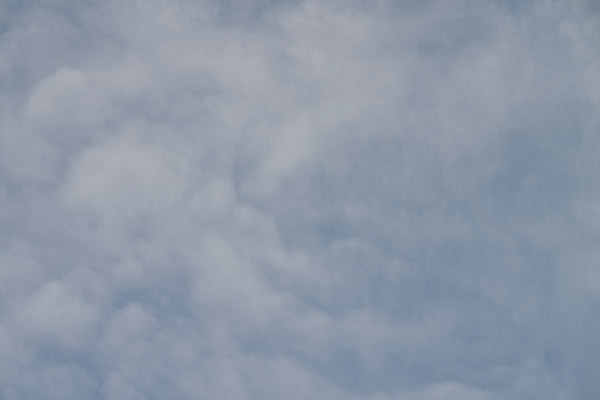 Laowa 105mm f/2 STF Review: Hands-on -- Gallery Image