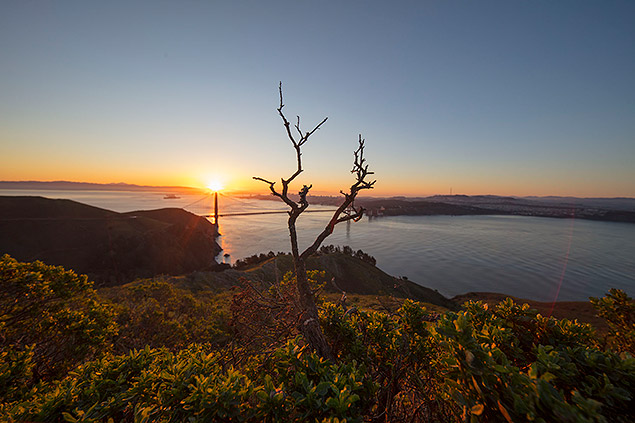 Laowa 12mm f/2.8 Field Test