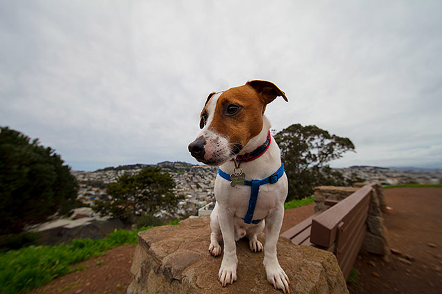 Laowa 12mm f/2.8 Field Test