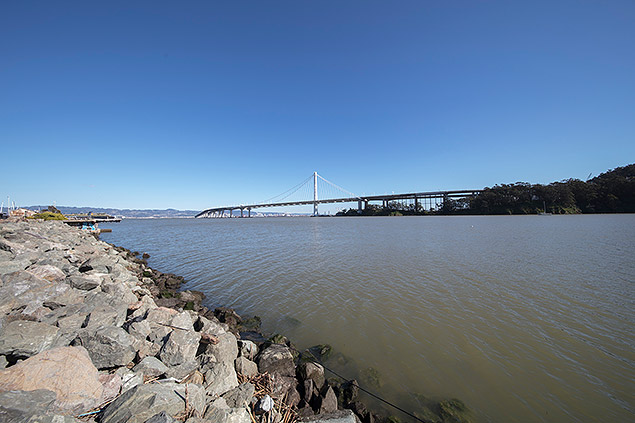 Laowa 12mm f/2.8 Field Test