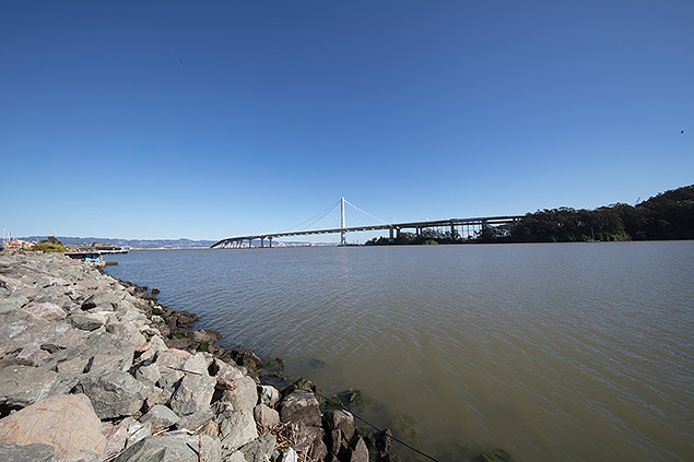 Laowa 12mm f/2.8 Field Test