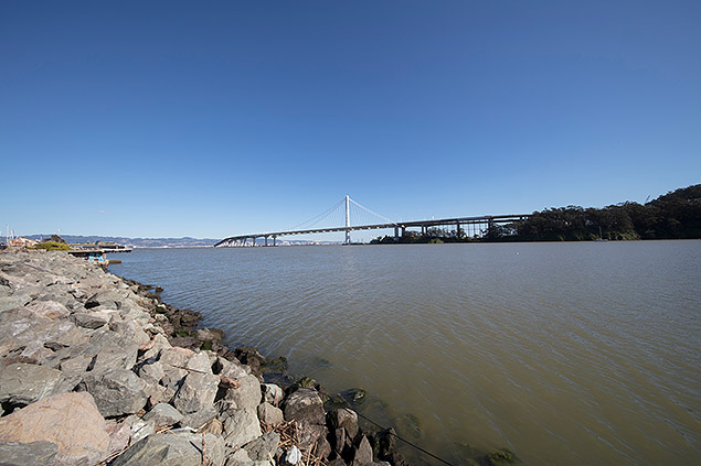 Laowa 12mm f/2.8 Field Test