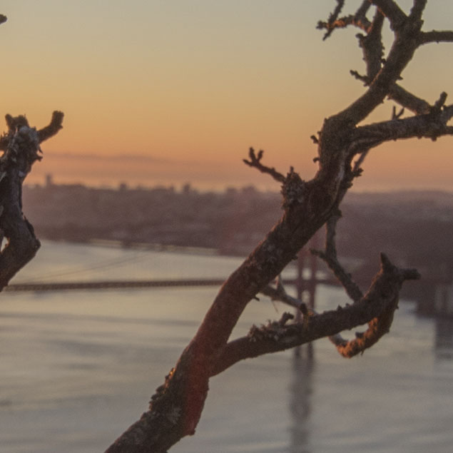 Laowa 12mm f/2.8 Field Test