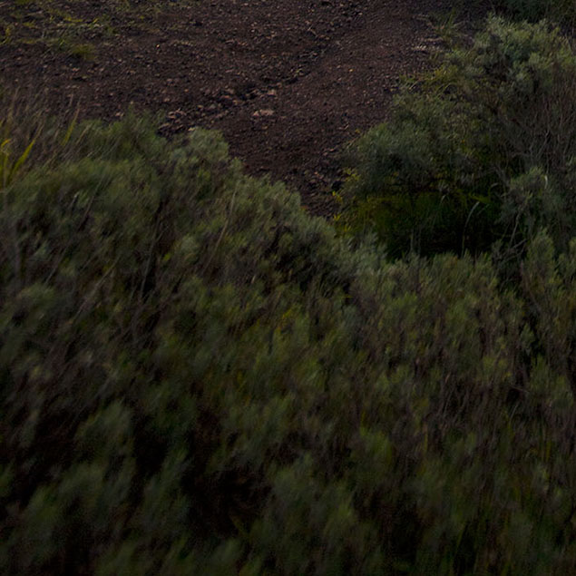 Laowa 12mm f/2.8 Field Test