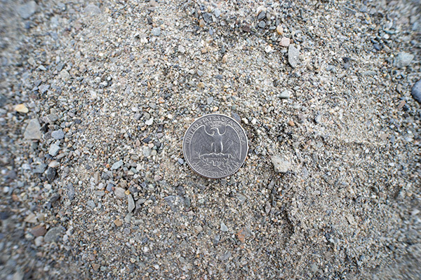 Laowa 15mm f/2 FE Zero-D Review: Field Test -- Close Focus Test Image