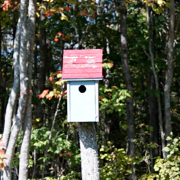 Laowa 15mm f/2 FE Zero-D Review: Field Test -- Sharpness Test Image