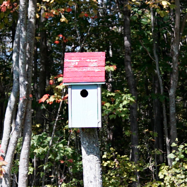 Laowa 15mm f/2 FE Zero-D Review: Field Test -- Sharpness Test Image