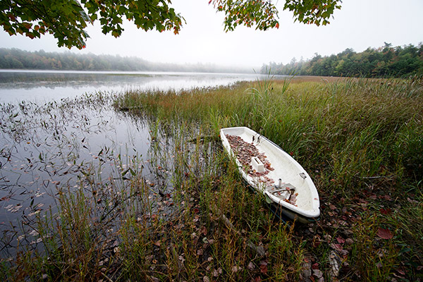 Laowa 15mm f/2 FE Zero-D Review: Field Test -- Gallery Image