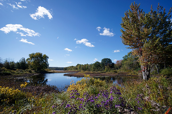 Laowa 15mm f/2 FE Zero-D Review: Field Test -- Gallery Image