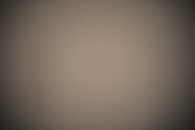 Laowa 15mm f/4 1:1 Macro Field Test -- Gallery Image