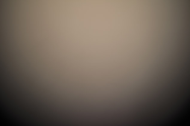 Laowa 15mm f/4 1:1 Macro Field Test -- Gallery Image