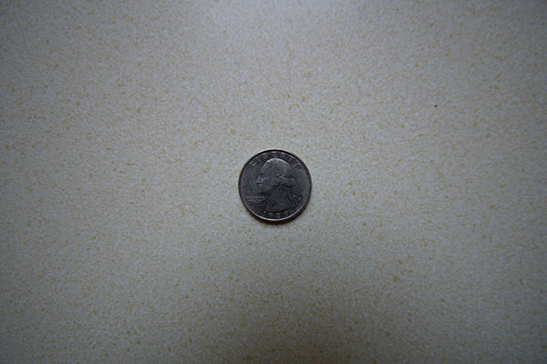 Nikon 10-20mm f4.5-5.6G VR AF-P DX Nikkor Review: Field Test -- Close Focus Test Image