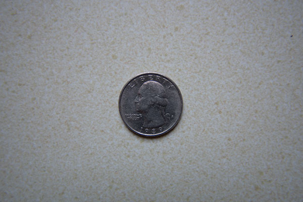 Nikon 10-20mm f4.5-5.6G VR AF-P DX Nikkor Review: Field Test -- Close Focus Test Image