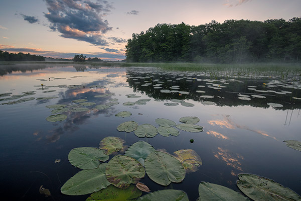 Nikon 10-20mm f4.5-5.6G VR AF-P DX Nikkor Review: Field Test -- Gallery Image