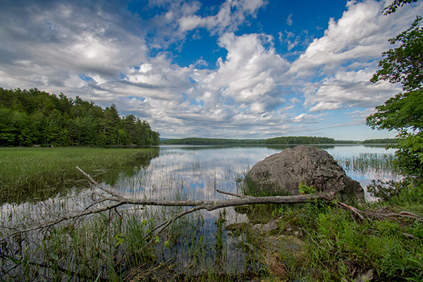 Nikon 10-20mm f4.5-5.6G VR AF-P DX Nikkor Review: Field Test -- Gallery Image