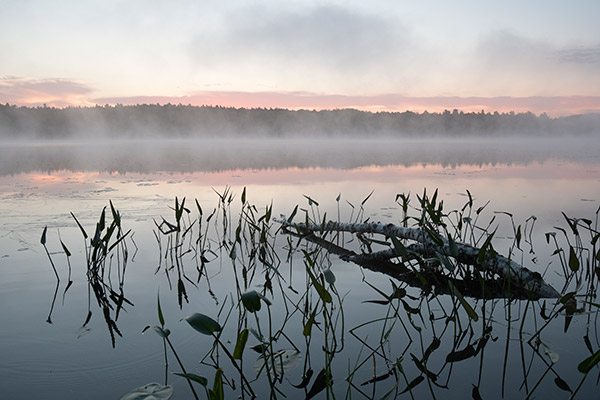 Nikon 10-20mm f4.5-5.6G VR AF-P DX Nikkor Review: Field Test -- Gallery Image