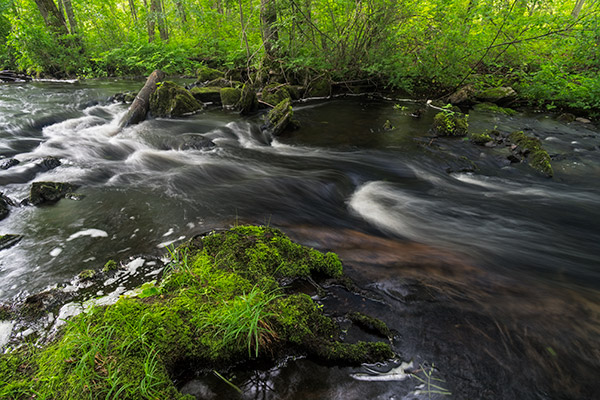 Nikon 10-20mm f4.5-5.6G VR AF-P DX Nikkor Review: Field Test -- Gallery Image