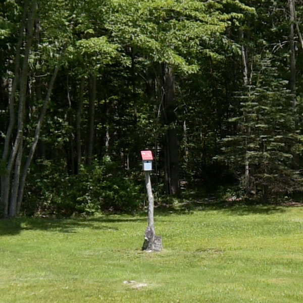 Nikon 10-20mm f4.5-5.6G VR AF-P DX Nikkor Review: Field Test -- Sharpness Test Image