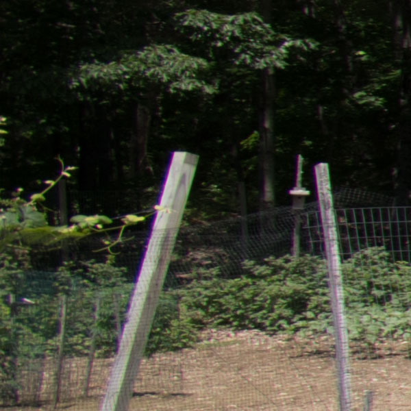 Nikon 10-20mm f4.5-5.6G VR AF-P DX Nikkor Review: Field Test -- Chromatic Aberration Test Image