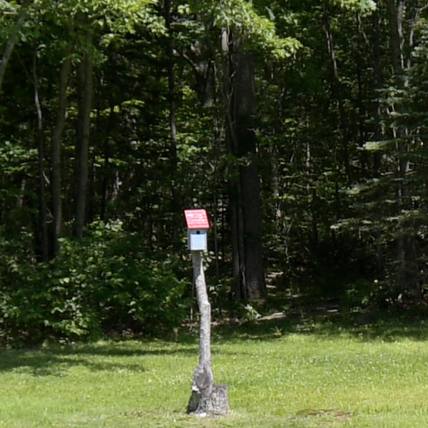 Nikon 10-20mm f4.5-5.6G VR AF-P DX Nikkor Review: Field Test -- Sharpness Test Image