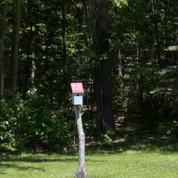 Nikon 10-20mm f4.5-5.6G VR AF-P DX Nikkor Review: Field Test -- Sharpness Test Image