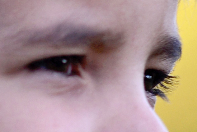 Nikon 105mm f/1.4 Review - sample crop