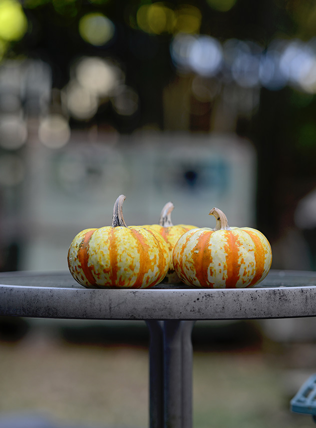 Nikon 105mm f/1.4 Review - sample image