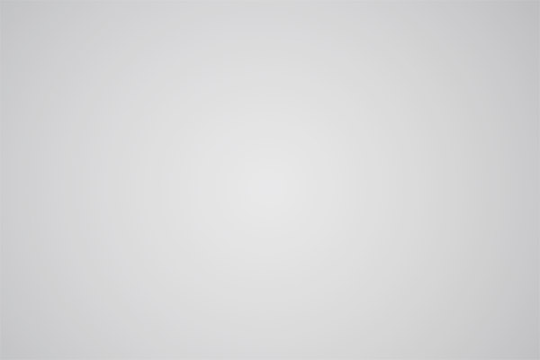 Nikon 180-400mm f/4E TC1.4 FL ED VR AF-S Nikkor Review: Field Test -- Gallery Image