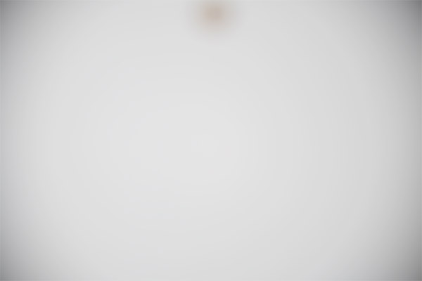 Nikon 180-400mm f/4E TC1.4 FL ED VR AF-S Nikkor Review: Field Test -- Gallery Image