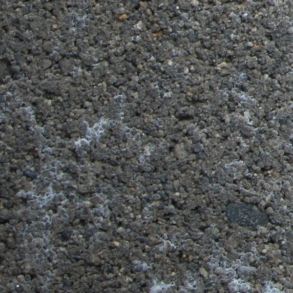 Nikon 180-400mm f/4E TC1.4 FL ED VR AF-S Nikkor Review: Field Test -- Gallery Image