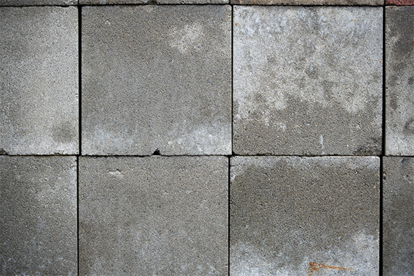 Nikon 180-400mm f/4E TC1.4 FL ED VR AF-S Nikkor Review: Field Test -- Gallery Image