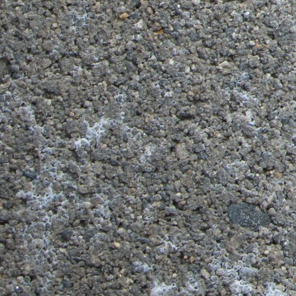 Nikon 180-400mm f/4E TC1.4 FL ED VR AF-S Nikkor Review: Field Test -- Gallery Image