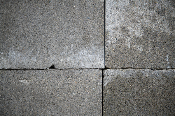 Nikon 180-400mm f/4E TC1.4 FL ED VR AF-S Nikkor Review: Field Test -- Gallery Image