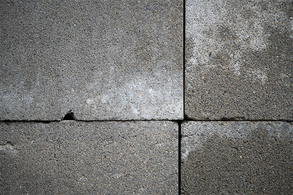 Nikon 180-400mm f/4E TC1.4 FL ED VR AF-S Nikkor Review: Field Test -- Gallery Image